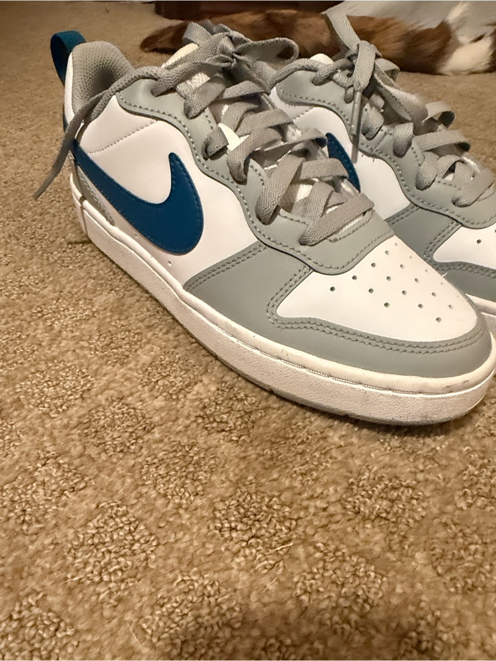 Nike Kids Low-Top Sneakers in White, Gray & Blue